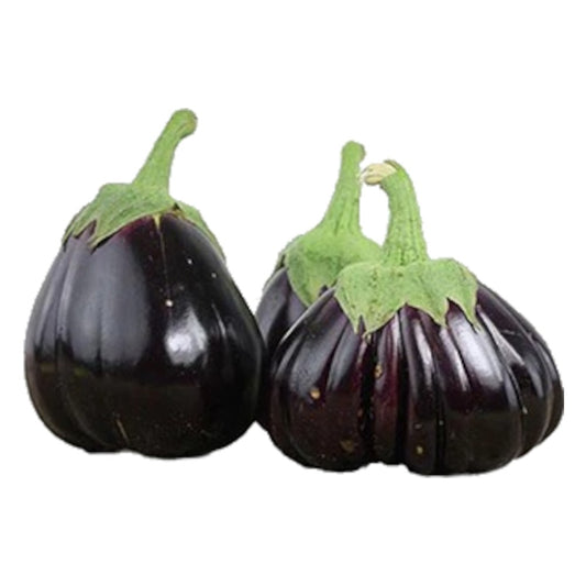 Kenya Aubergine