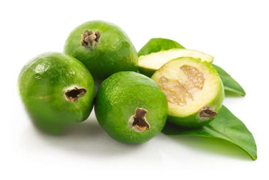 Gunda