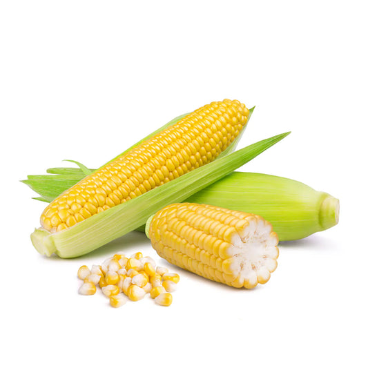 Sweet corn