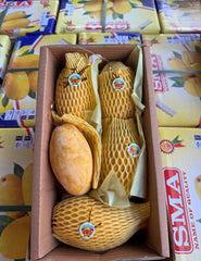 Pakistani Chaunsa Mango