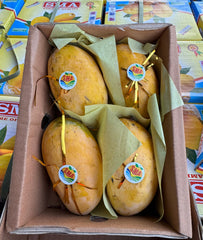 Pakistani Chaunsa Mango