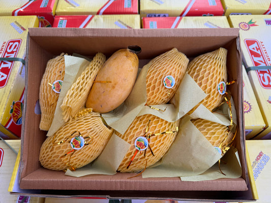 Pakistani Chaunsa Mango