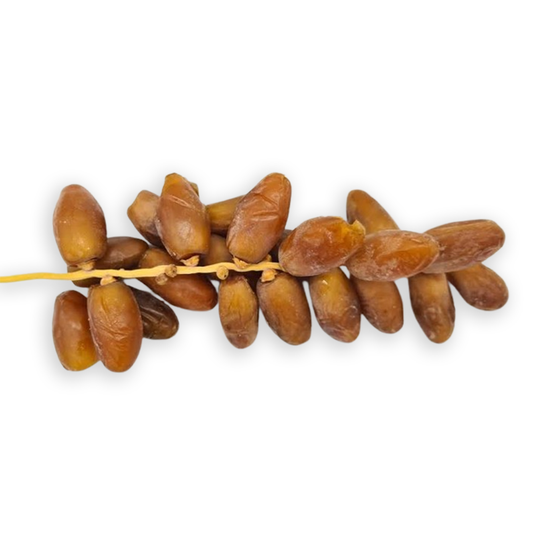 Tunisian Branch Dates